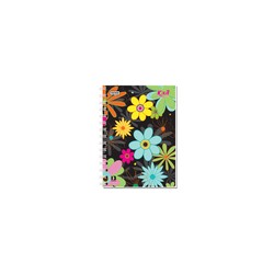 Cuaderno Forma Francesa Norma Kiut Raya 160 hojas
