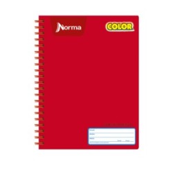 Cuaderno Profesional Norma Cuadro Chico 100 hojas
