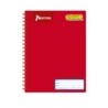 Cuaderno Profesional Norma Cuadro Chico 100 hojas