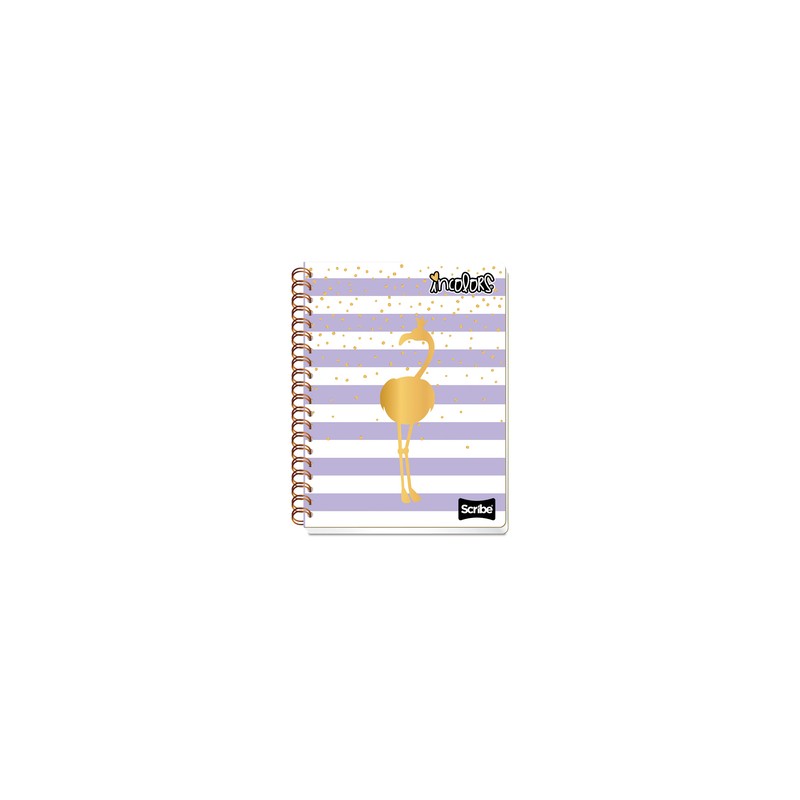Cuaderno Profesional Scribe Incolors Cuadro Chico 100 hojas