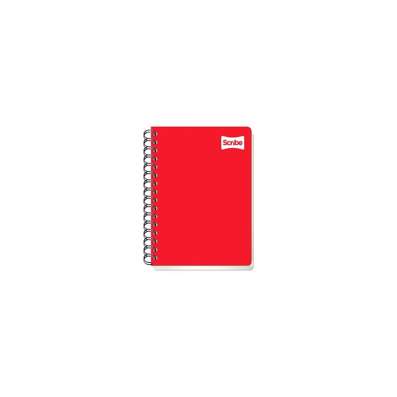 Cuaderno Forma Francesa Scribe Raya 100 hojas